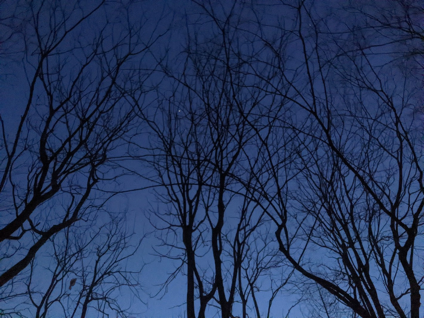 dusk