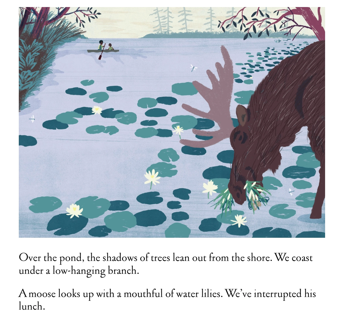 Over and Under the Pond|600