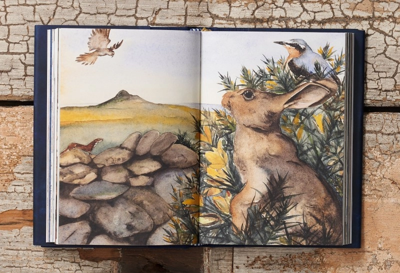 Lost Spells Hare|600
