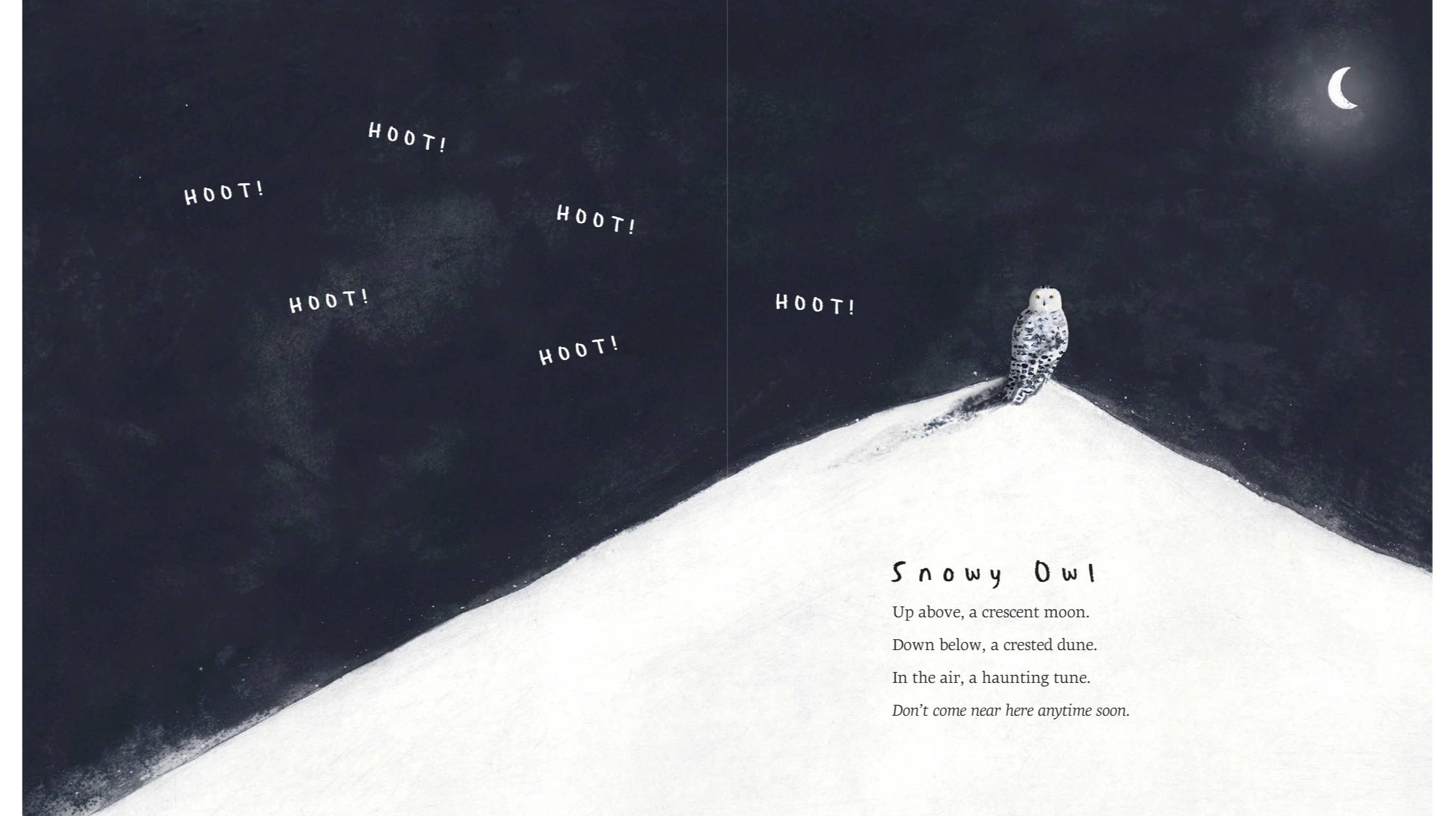 Snowy Owl|600