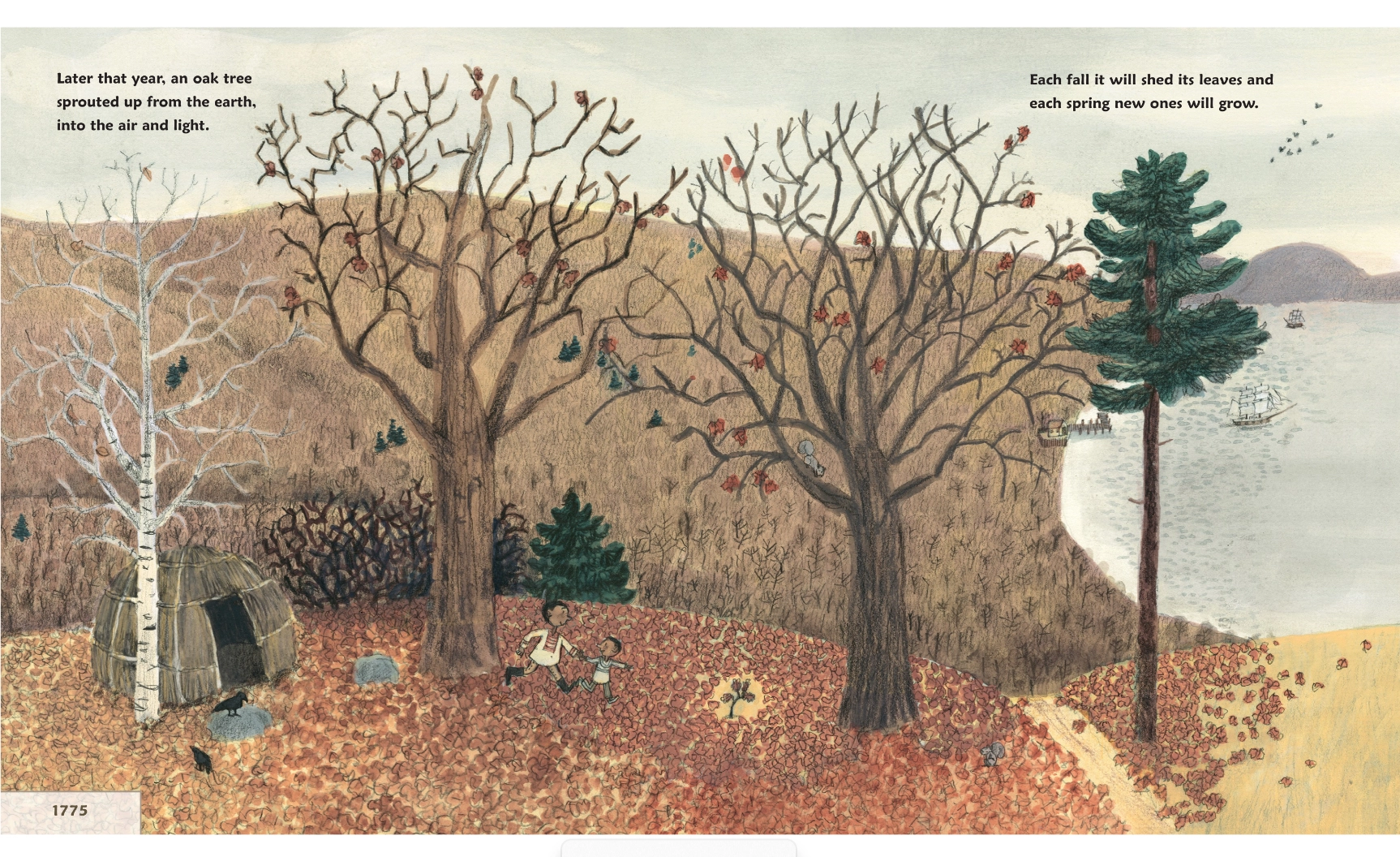 As An Oak Tree Grows|600
