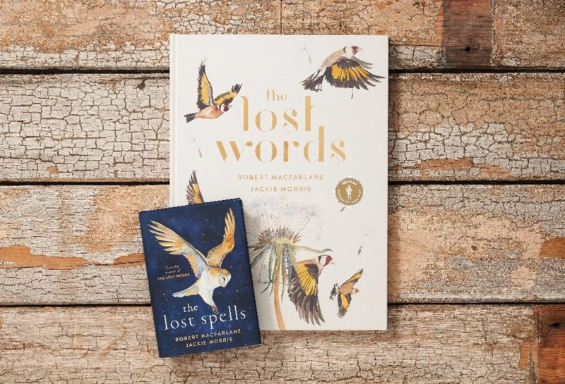 The Lost Words and the Lost Spells|600