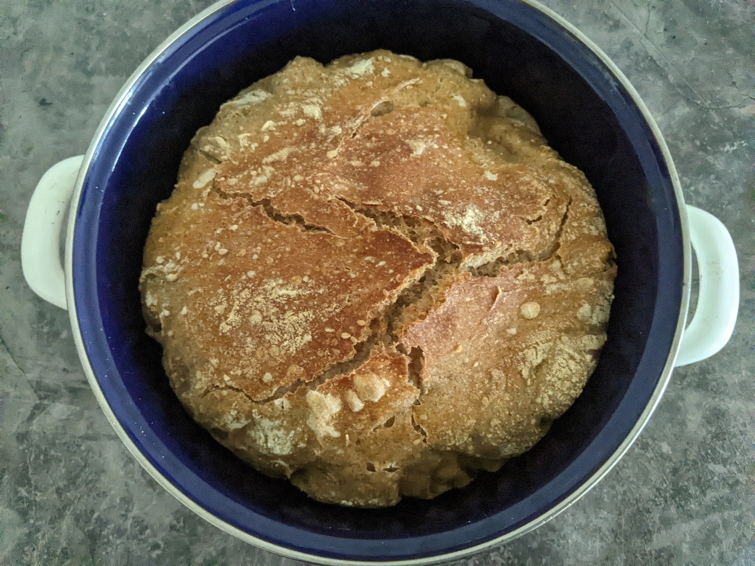 sourdough