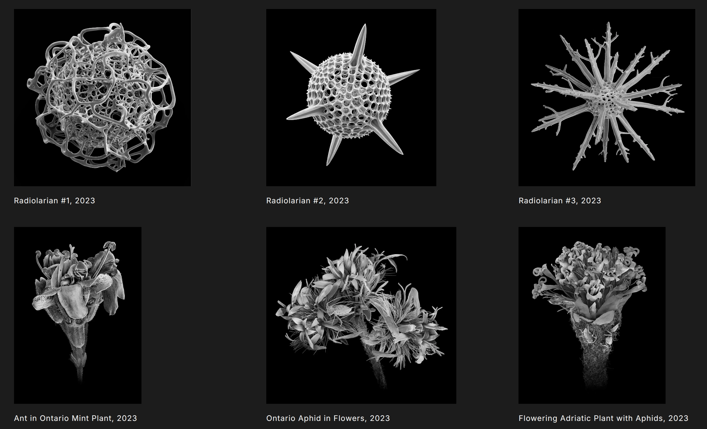 Nanocosmos